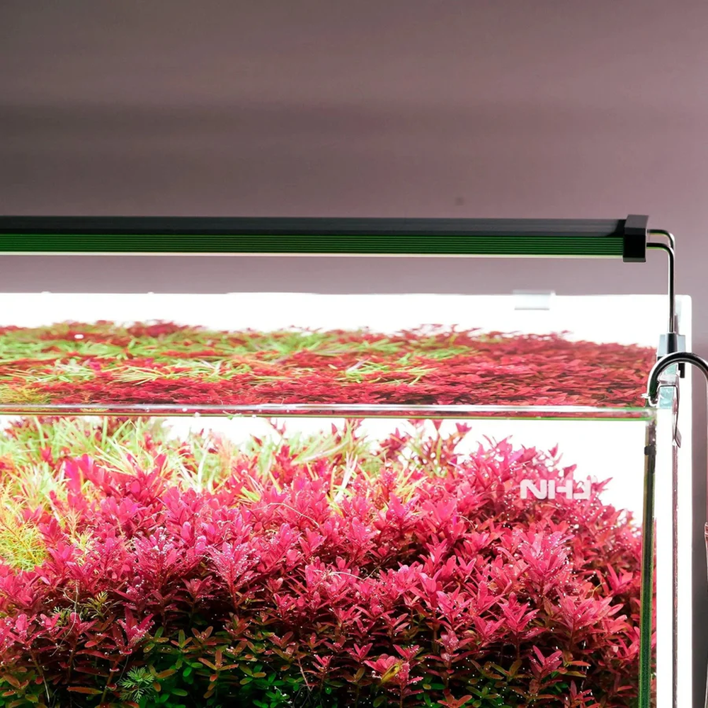 Chihiros B45 Series WRGB LED Aquarium Light