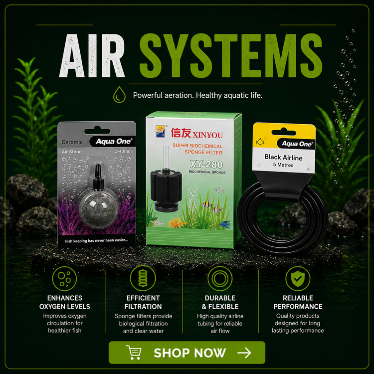 Air Systems