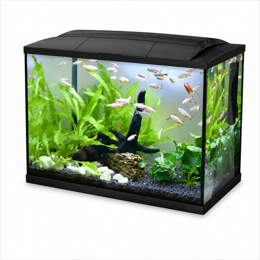 Hailea LED Aquarium 60L – Black