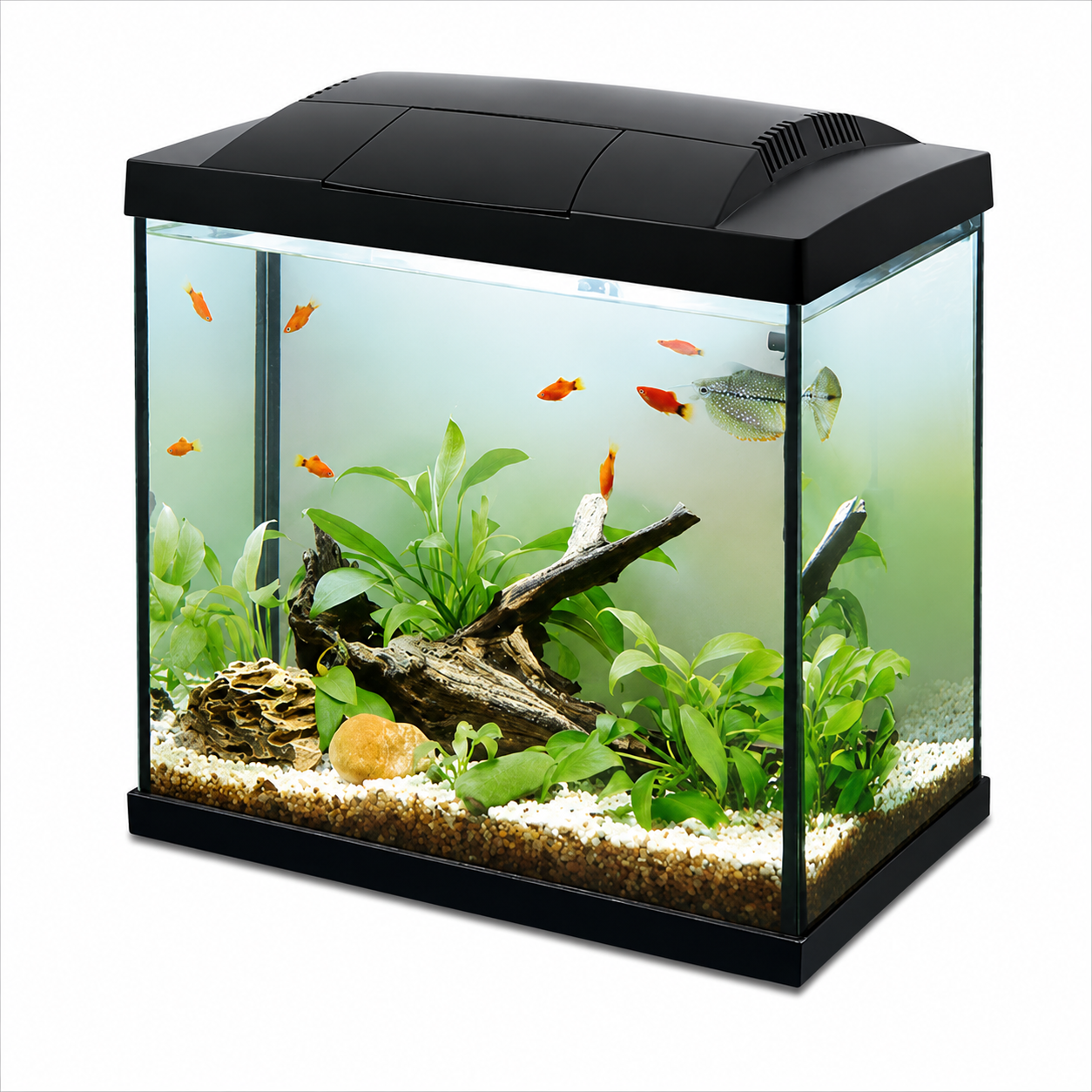 Hailea LED Aquarium 30L – Black