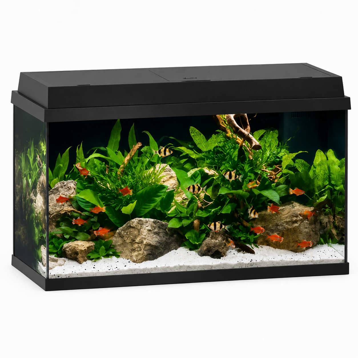 Juwel Primo 60 LED Aquarium Kit – Black