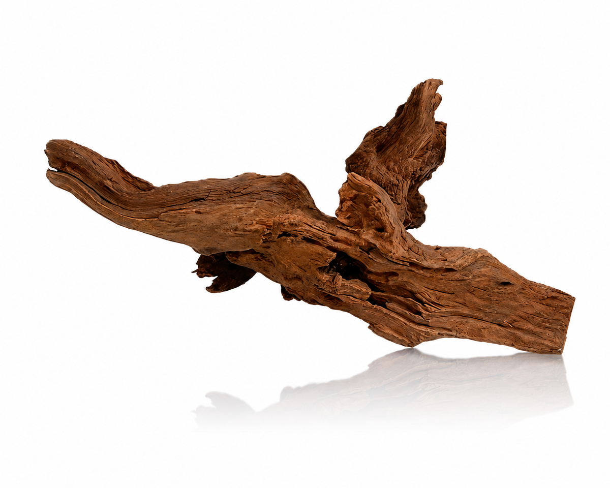 Natural Aquarium Driftwood 12–15cm