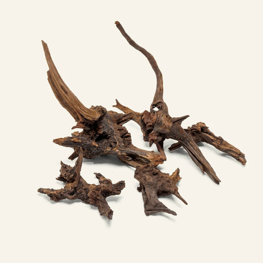 Driftwood – Pacific Wood  35-45cm