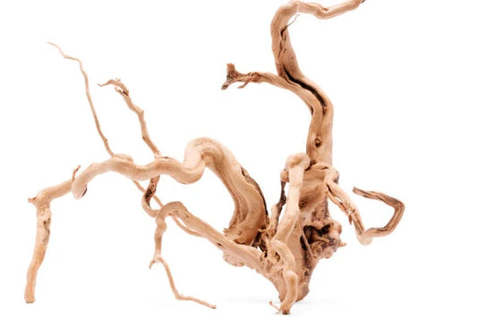 Spider wood 25-35 cm