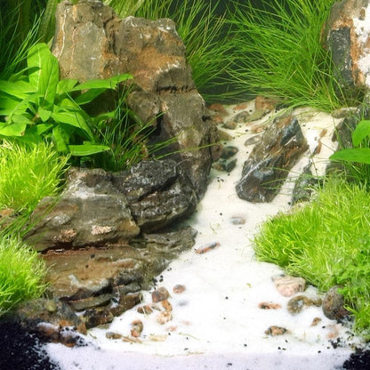 JBL Sansibar White Aquarium Sand | Premium Natural White Aquarium Substrate | 5kg