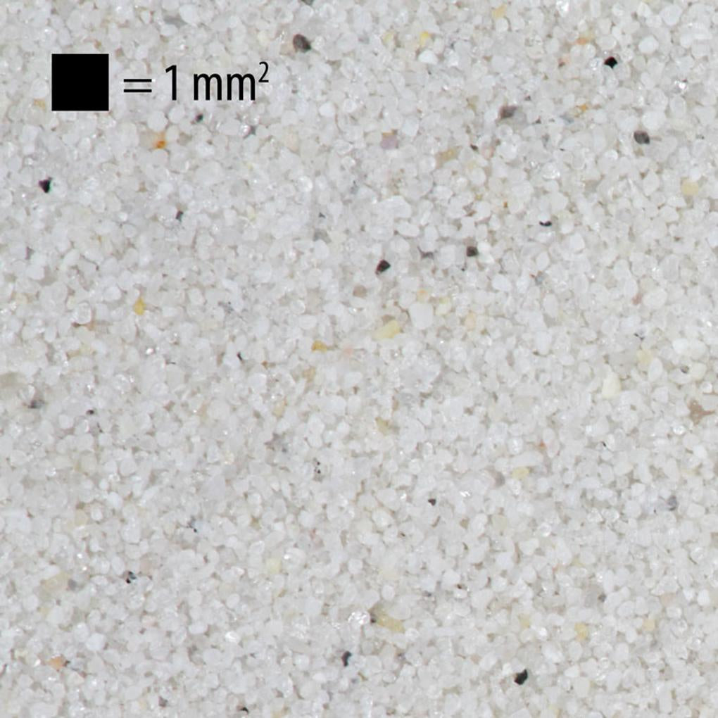 JBL Sansibar White Aquarium Sand | Premium Natural White Aquarium Substrate | 5kg